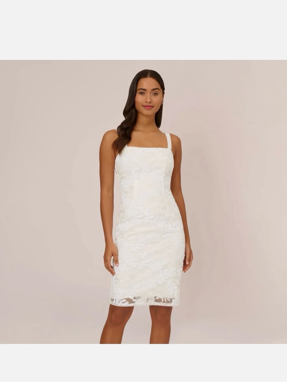 Adrianna Papell Sequin Embroidered Sheath